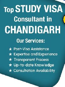 Study Visa Consultants in Chandigarh