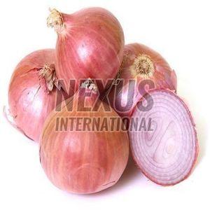 Fresh Pink Onion