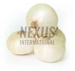 Fresh White Onion