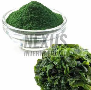 Spirulina Extract Powder