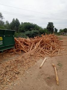 Natural Hardwood Debarked Eucalyptus Wood