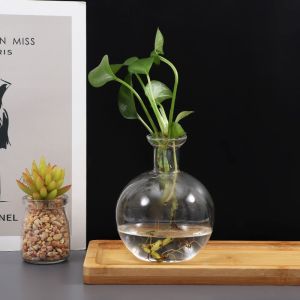 Glass plant Holders