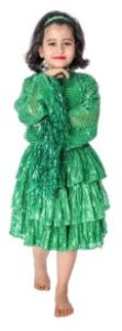 Western Dance Fancy Dress Costume Green