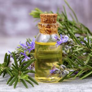 Rosemary Essential Oil
