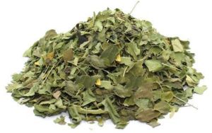 dry moringa leaves