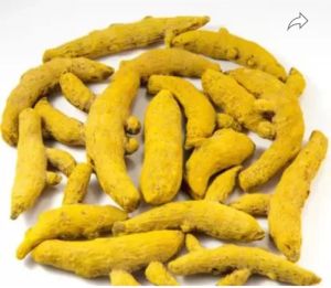 Turmeric Finger