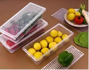 Vegetable Storage CONTAINER