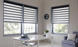 Window Curtain Blinds