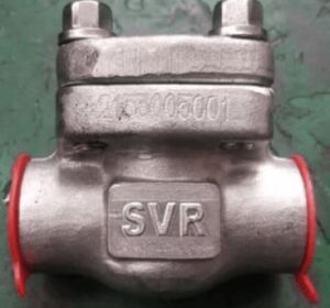 Swing Check Valve