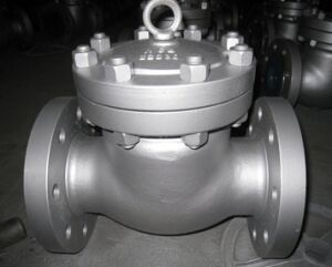 TITANIUM SWING CHECK VALVE