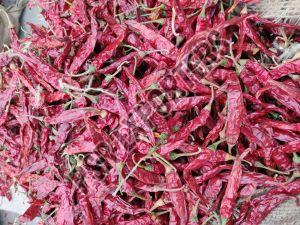 Armoor Dry Red Chilli