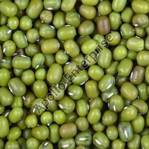 Whole Green Moong Beans