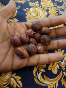 red areca nut