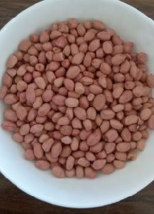 Groundnut Seeds