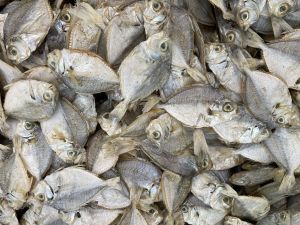 Dried Fish