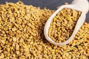 Organic Fenugreek Seeds