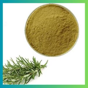 Rosemary Powder