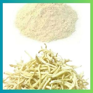 White Musli Powder