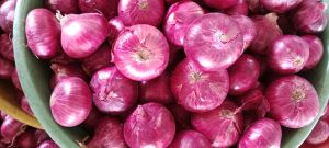 B Grade Red Onion