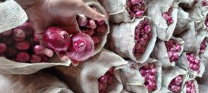 Natural Red Onion