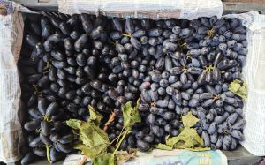 Fresh Black Grapes