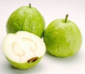 Fresh Green Guava