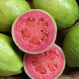 Fresh Pink Guava