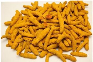 Organic Turmeric Finger