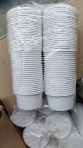 250ml Food Grade Container