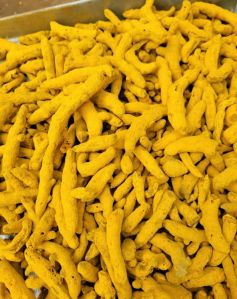 Organic Turmeric Finger