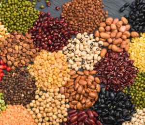 Indian Pulses