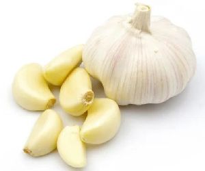 Fresh Garlic