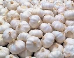 Fresh Yamuna Safed G50 Garlic