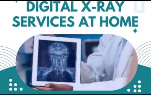 Portable X Ray Services