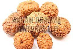 Rudraksha Beads