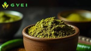 GVEI Spray Dried Green Chilli Powder