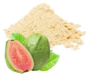 GVEI Spray Dried Guava Powder