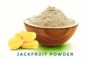 GVEI Spray Dried Jackfruit Powder