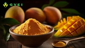 GVEI Spray Dried Mango Powder