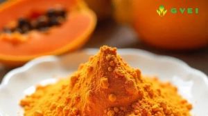 GVEI Spray Dried Papaya Powder