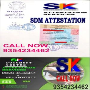 SDM Attestation Service