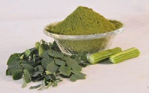 Moringa Powder