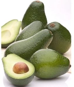 Fresh Avocado Fruit