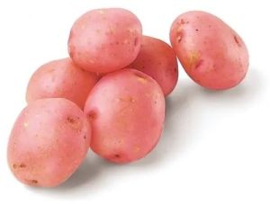 Fresh Red Potato