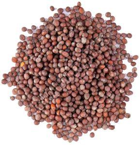 Brown Mustard Seeds