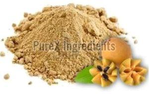 Sapota Powder