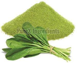 Spinach Leaf Powder