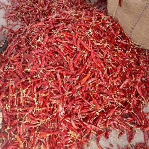 Super 10 Dried Red Chilli