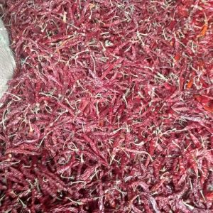 Super 100 Old Dried Red Chilli