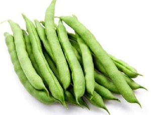 Fresh Green Beans